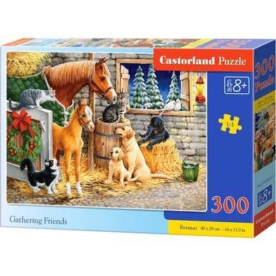 Castorland Setkání přátel ve stáji 300 dielov