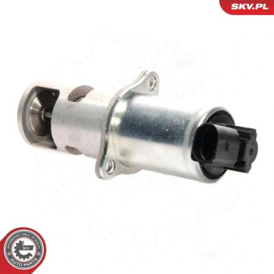AGR-Ventil ESEN SKV 14SKV021