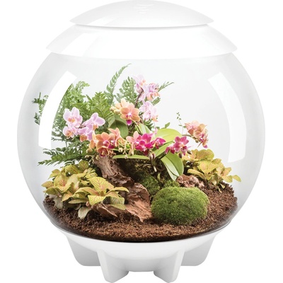 BiOrb Air Terrarium biele 60 l