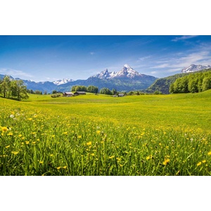 DIMEX ART Флизелинов фототапет идилична гледка към алпите 375 x 250 см