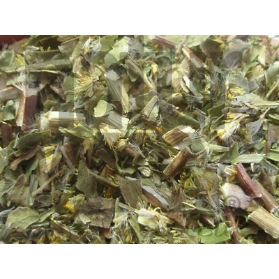 Bylinná lékárna Zlatobýl nať Solidaginis herba 200 g
