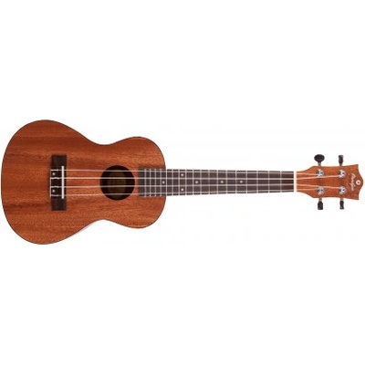 Prodipe Guitars BC210