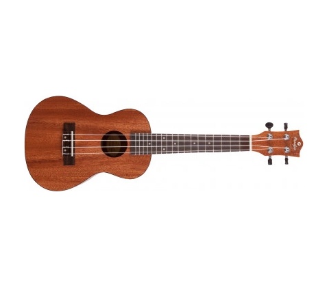 Prodipe Guitars BC210