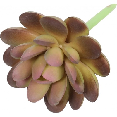 Umelý sukulent lotos Graptopetalum 9,5 cm