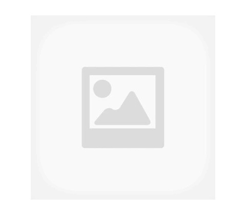 Wanbo Cube 2 Pro