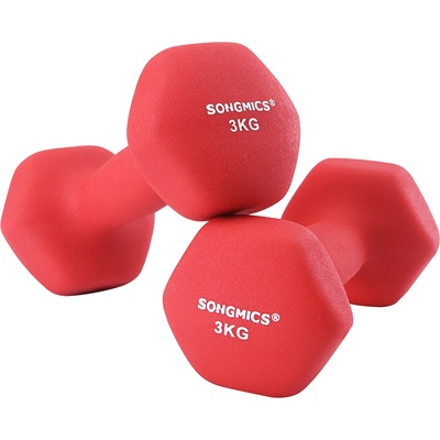 SONGMICS SYL66RD 2 x 3 kg