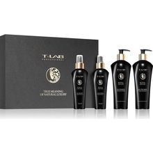 T-LAB Professional Royal Detox detoxikační šampon 300 ml + kondicionér s detoxikačním účinkem 300 ml + ochranný sprej s detoxikačním účinkem 150 ml + ochranný olej na vlasy 150 ml dárková sada