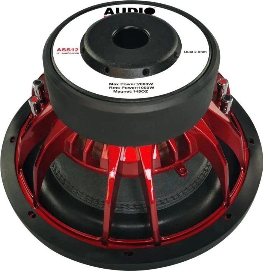Audio System ASS-12