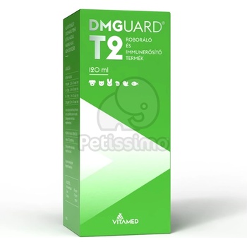 DMGuard T2 120 мл