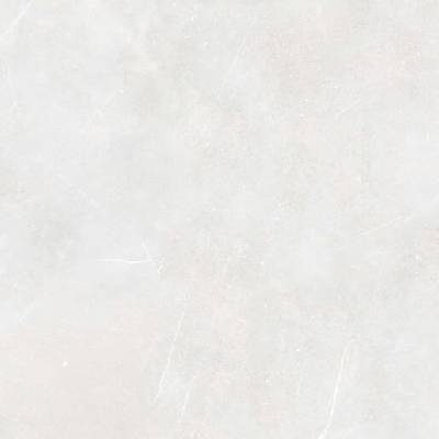 Rako Fly DAK92882.1 120 x 120 cm mist mat 2,880 m²
