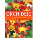 Orchideje