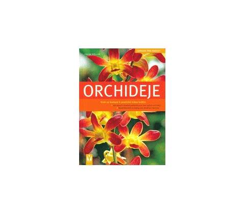 Orchideje