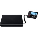 Steinberg Systems SBS PT-50/2