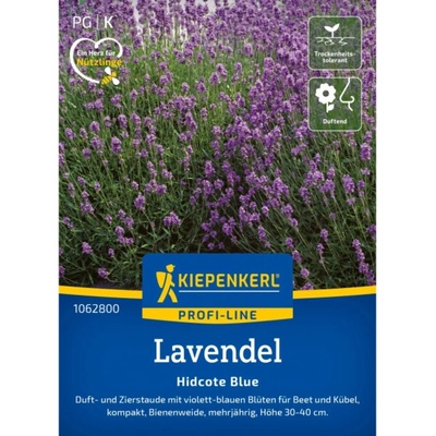 Kiepenkerl Vonná levandule "Hidcote Blue Strain" modrá