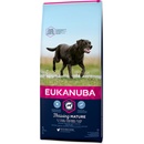 Eukanuba Mature Dog Large Breed Chicken 12 kg