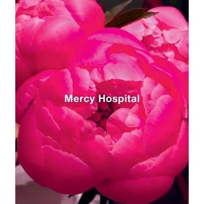 Ida Applebroog: Mercy Hospital Applebroog IdaPevná vazba