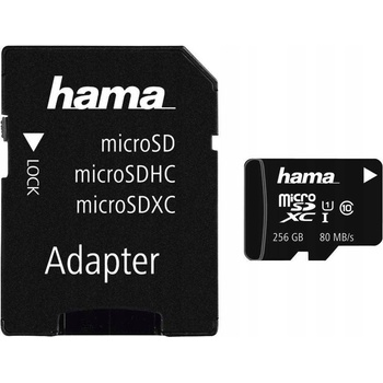 Hama microSDXC 256GB 124171
