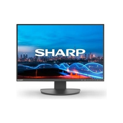 NEC EA241W-BK