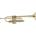 SOUNDSATION STPGD-10C