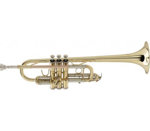 SOUNDSATION STPGD-10C