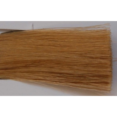 Black Sintesis barva na vlasy 8.3 100 ml