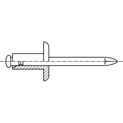 PROFISTYL DIN 7337 trhací nýt velká hlava 14mm St/St ocel-ocel průměr 4,8mm Varianta: DIN 7337 trhací nýt velká hlava 14mm ST/ST 4,8x16