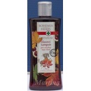 Šampony Bohemia Herbs Castanum vlasový šampon s extraktem z koňského kaštanu 250 ml
