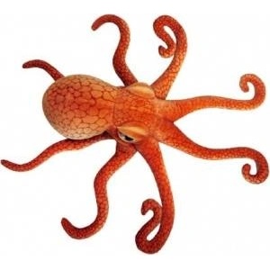 Dubi Octopus 47cm 32461