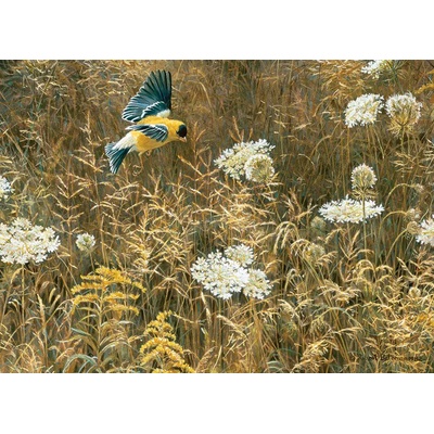 Cobble Hill - Puzzle Queen Anne's Lace and American Goldfinch - 500 piese