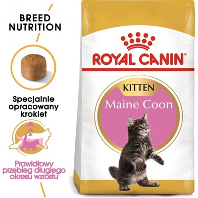 Royal Canin Maine Coon Kitten 10 кг суха храна за котенца, до 15 месеца, порода Мейн Кун