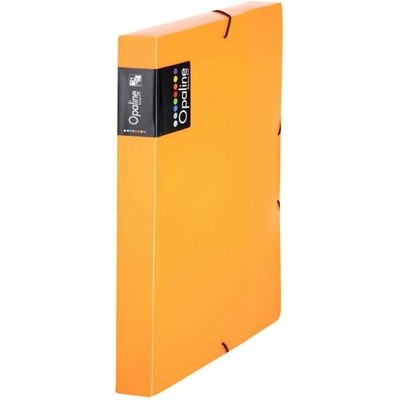 Kartonpp Plastový box s gumičkou Karton PP Opaline, oranžový
