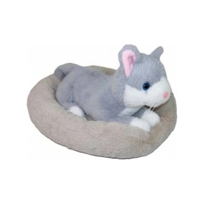 SUN-DAY Cat in a bed 25cm