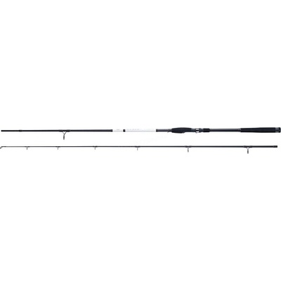 WFT XK BONE PRO SHAD 2,7 m 10-56 g 2 diely