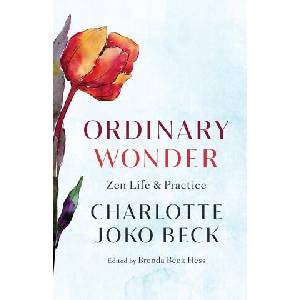 Ordinary Wonder (ISBN: 9781611808773)