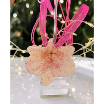 Meganflo Орхидея - Розова галактика