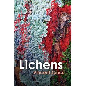 Lichens - Toward a Minimal Resistance | Zonca, Vincent (ISBN: 9781509553457)