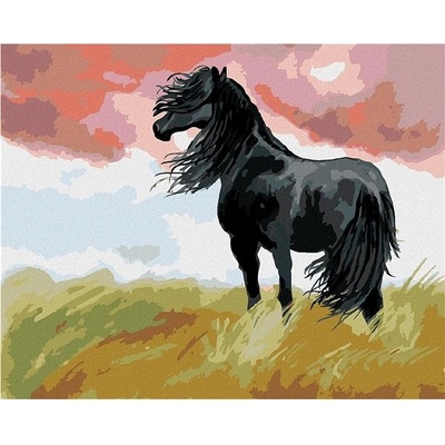 zuty Malování Podle Čísel Černý Kůň Na Louce 40 x 50 Cm Plátno Rám