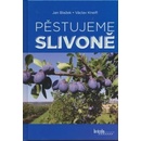 Pěstujeme slivoně