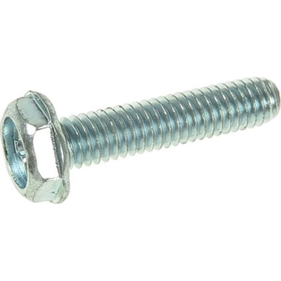 Šroub alternátoru AS-PL ARS0069S (BULK)