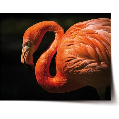 Sablio Plagát Plameniak - 60x40 cm