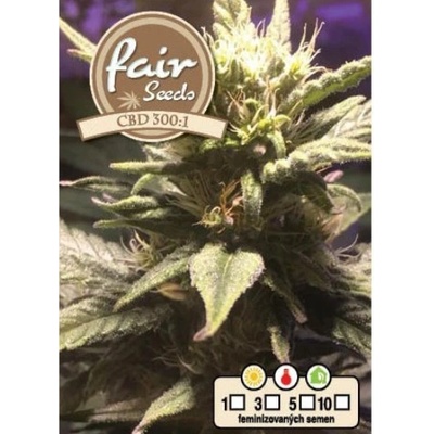 Fair Seeds CBD 300:1 semena neobsahují THC 10 ks