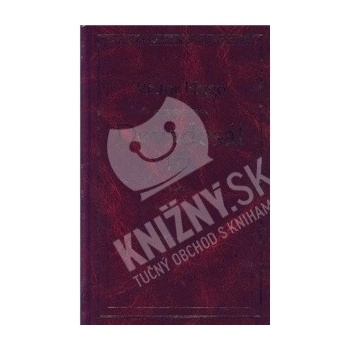 Devadesát tři - Hugo Victor