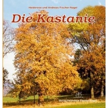 Die Kastanie