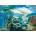 Cobble Hill - Puzzle White Dragon - 500 piese