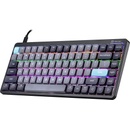 Image 1 of Tracer Fina 84 Red Switch TRAKLA47308