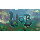 Hob