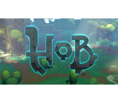 Hob