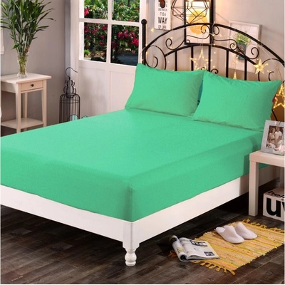 Pragati Fashion Froté prostěradlo pastelově zelené 90x200