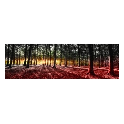 Preinterier Fototapeta - FT4033 - vlies - 832cm x 254cm