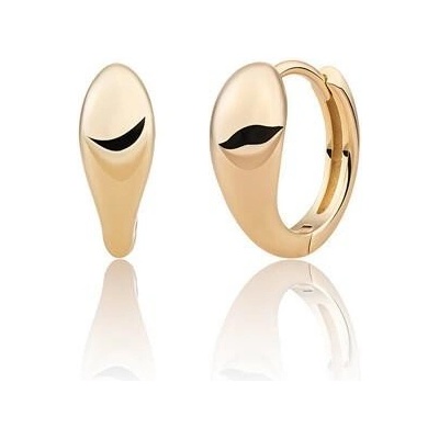 Sparkling Pozlacené kruhové náušnice EAG32